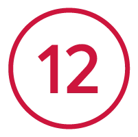 12 ingredientes