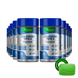 Colágeno Tipo II, Magnésio e MSM